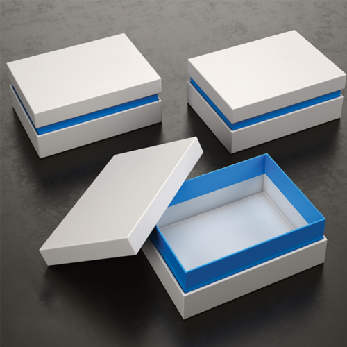 In hộp cứng mẫu