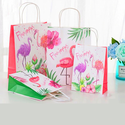 Túi giấy kraf trắng